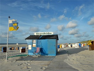 Strand VI